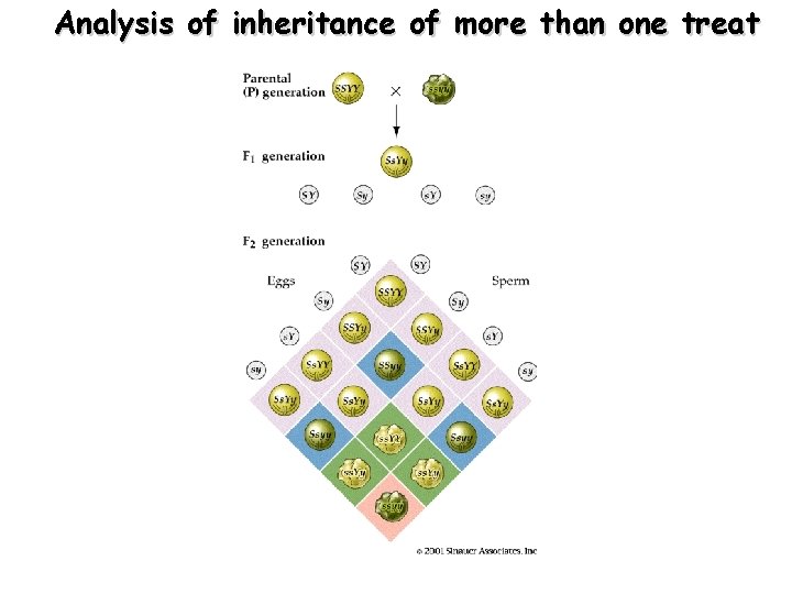 Analysis of inheritance of more than one treat 