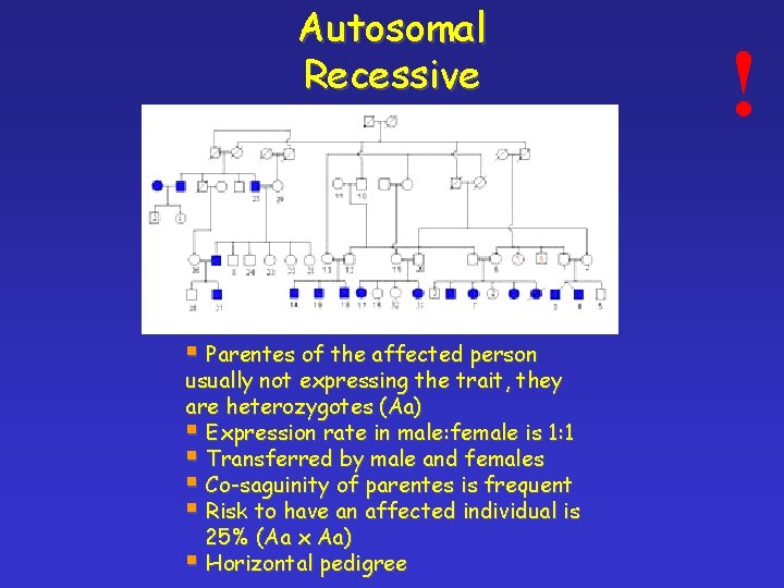 Autosomal Recessive § Parentes of the affected person usually not expressing the trait, they