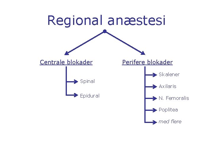 Regional anæstesi Centrale blokader Perifere blokader Skalener Spinal Epidural Axilaris N. Femoralis Poplitea med