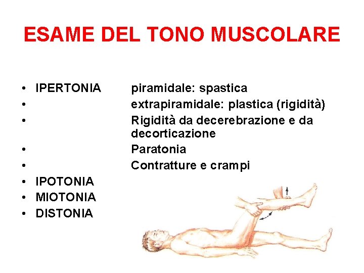 ESAME DEL TONO MUSCOLARE • IPERTONIA • • • IPOTONIA • MIOTONIA • DISTONIA