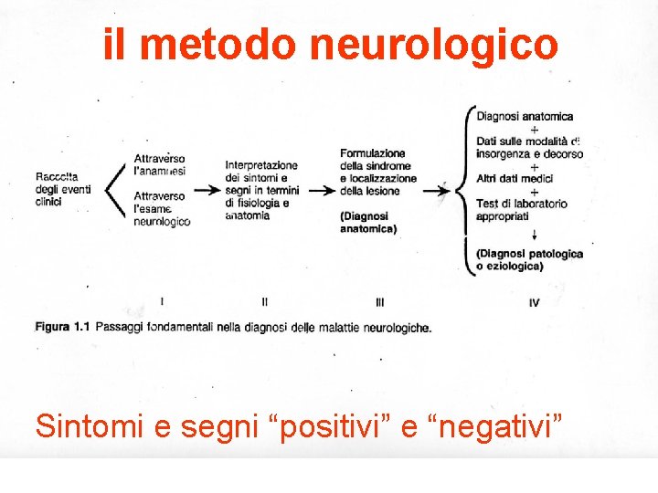 il metodo neurologico Sintomi e segni “positivi” e “negativi” 
