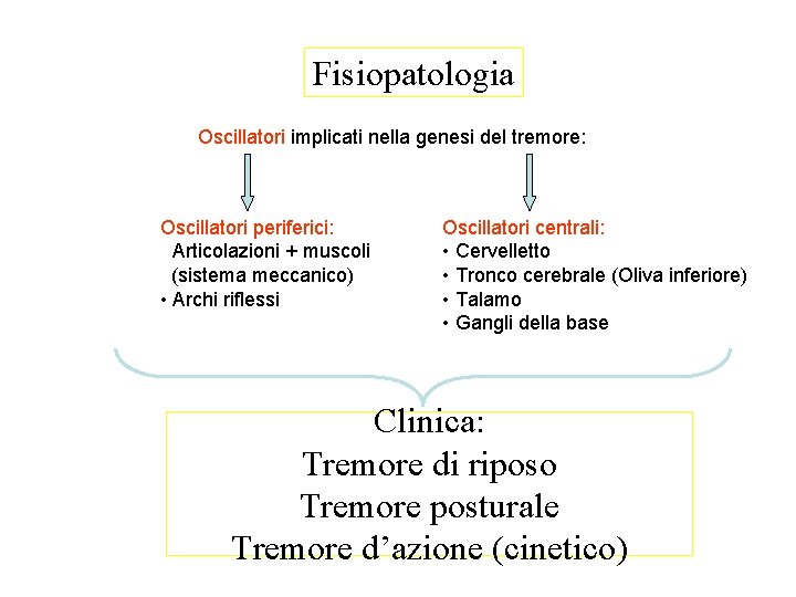 Fisiopatologia Oscillatori implicati nella genesi del tremore: Oscillatori periferici: • Articolazioni + muscoli (sistema