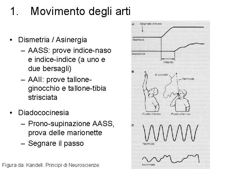 1. Movimento degli arti • Dismetria / Asinergia – AASS: prove indice-naso e indice-indice