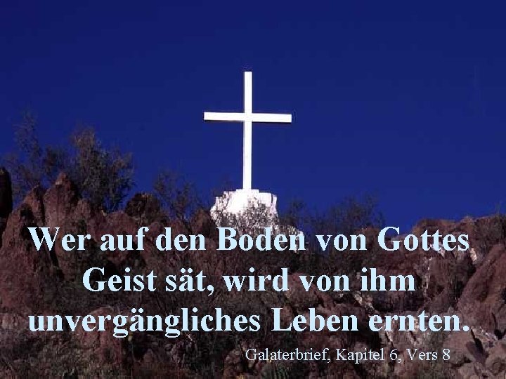 Wer auf den Boden von Gottes Geist sät, wird von ihm unvergängliches Leben ernten.