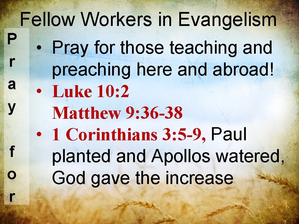 Fellow Workers in Evangelism P r a y f o r • Pray for Fellow Workers in Evangelism P r a y f o r • Pray for
