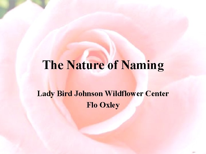 The Nature of Naming Lady Bird Johnson Wildflower Center Flo Oxley 