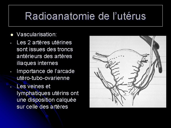 Radioanatomie de l’utérus l - - Vascularisation: Les 2 artères utérines sont issues des