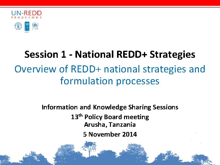 Session 1 - National REDD+ Strategies Overview of REDD+ national strategies and formulation processes