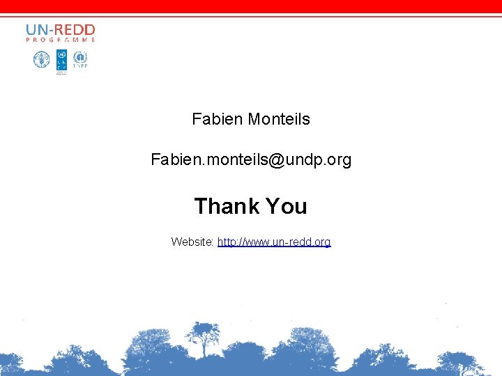 Fabien Monteils Fabien. monteils@undp. org Thank You Website: http: //www. un-redd. org 