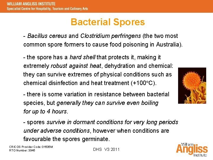 Bacterial Spores - Bacillus cereus and Clostridium perfringens (the two most common spore formers