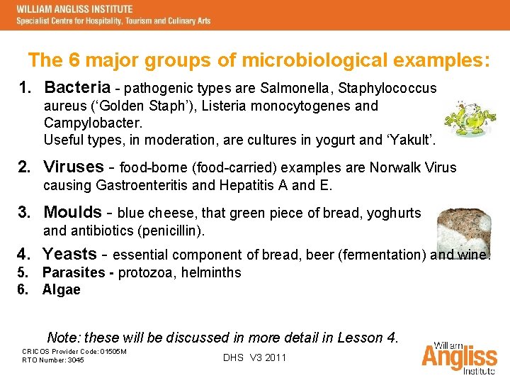 The 6 major groups of microbiological examples: 1. Bacteria - pathogenic types are Salmonella,