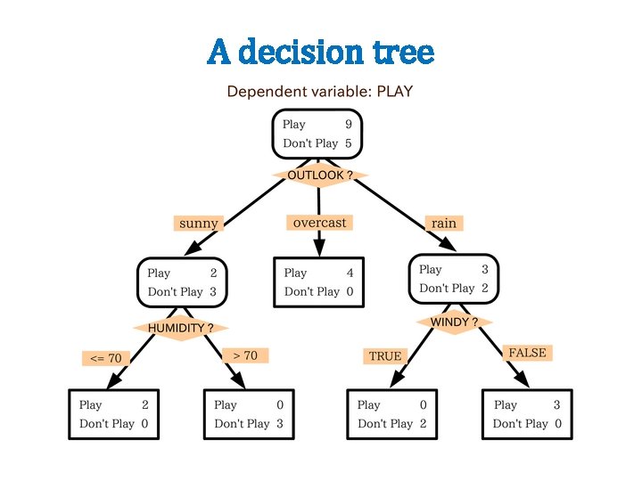 A decision tree 