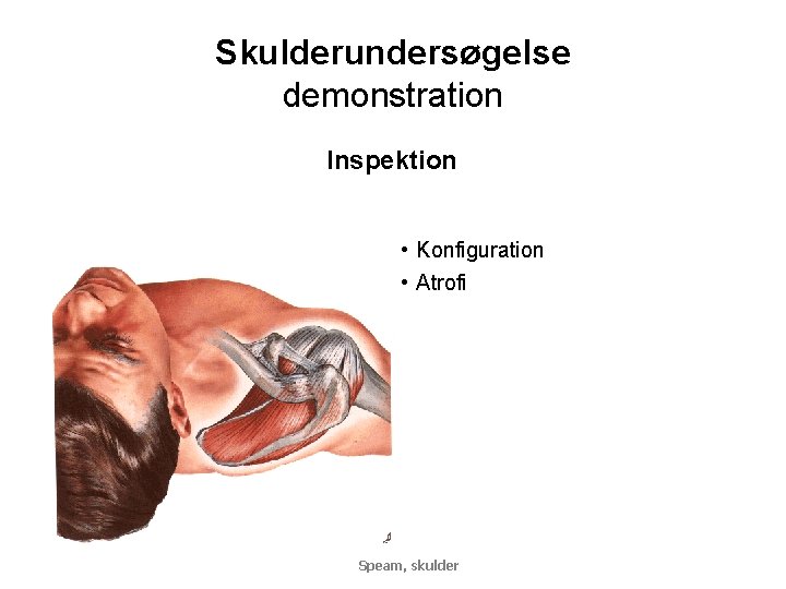 Skulderundersøgelse demonstration Inspektion • Konfiguration • Atrofi Speam, skulder 