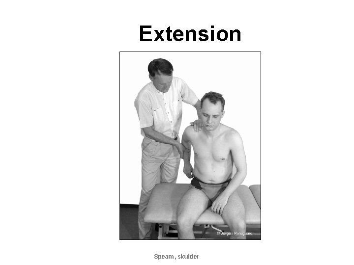 Extension Speam, skulder 