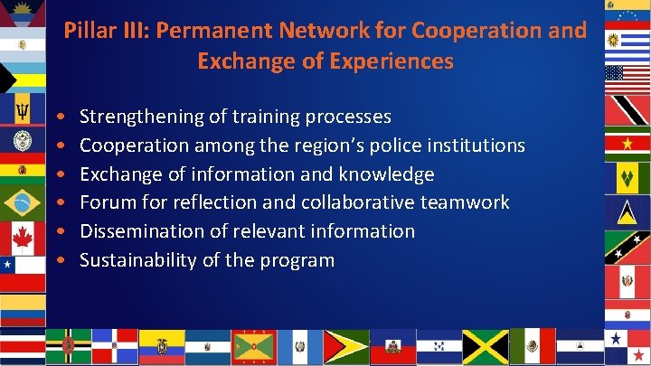 Pillar III: Permanent Network for Cooperation and Exchange of Experiences • • • Strengthening