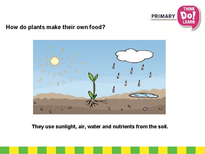 natural sciences 3 What living things and nonliving