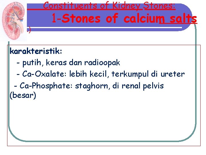 Constituents of Kidney Stones: (cont. ) 1 -Stones of calcium salts karakteristik: - putih, Constituents of Kidney Stones: (cont. ) 1 -Stones of calcium salts karakteristik: - putih,
