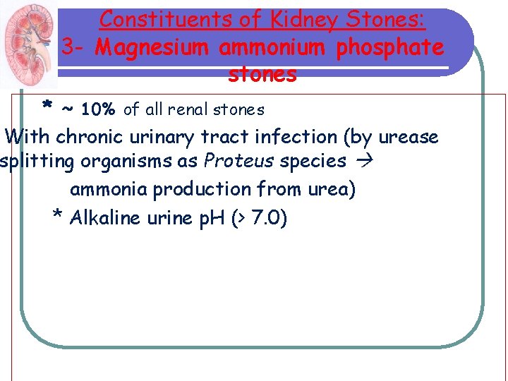 Constituents of Kidney Stones: 3 - Magnesium ammonium phosphate stones * ~ 10% of Constituents of Kidney Stones: 3 - Magnesium ammonium phosphate stones * ~ 10% of