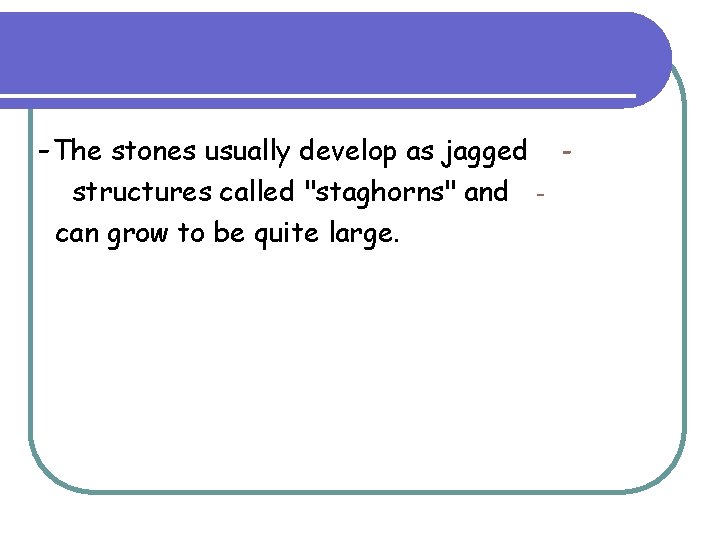 -The stones usually develop as jagged structures called "staghorns" and can grow to be -The stones usually develop as jagged structures called "staghorns" and can grow to be