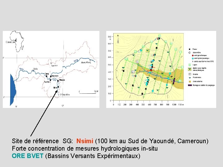 Site de référence SG: Nsimi (100 km au Sud de Yaoundé, Cameroun) Forte concentration