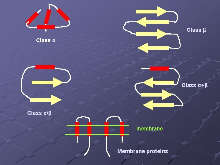 Class β Class α+β Class α/β membrane Membrane proteins 