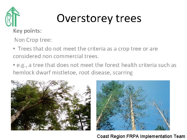 Overstorey trees Key points: Non Crop tree: • Trees that do not meet the