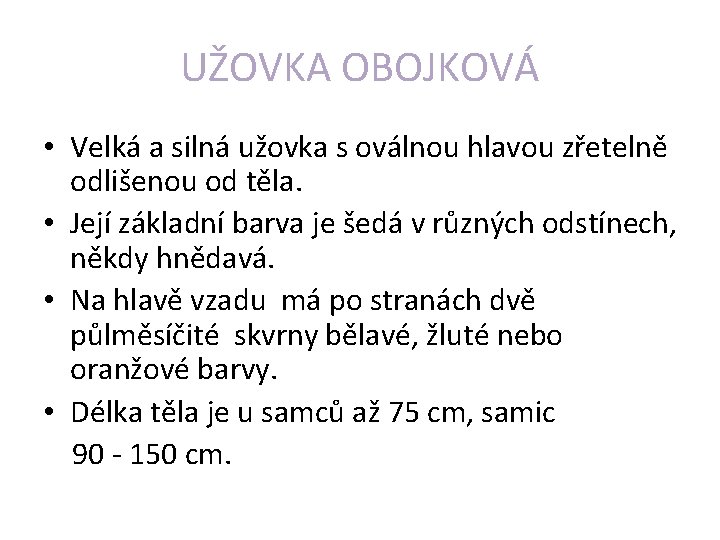 UŽOVKA OBOJKOVÁ • Velká a silná užovka s oválnou hlavou zřetelně odlišenou od těla.