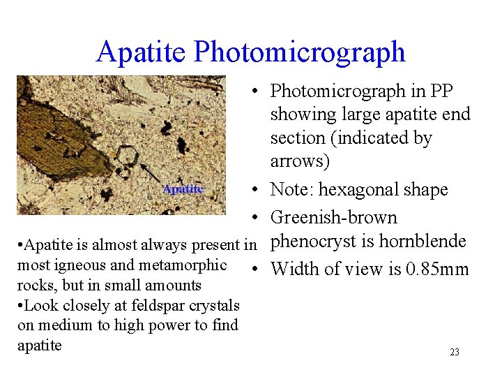 Apatite Photomicrograph • Photomicrograph in PP showing large apatite end section (indicated by arrows)