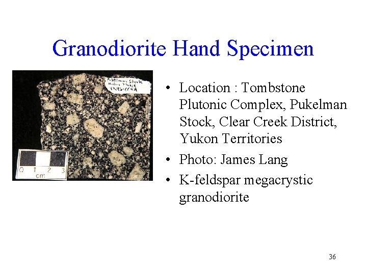 Granodiorite Hand Specimen • Location : Tombstone Plutonic Complex, Pukelman Stock, Clear Creek District,