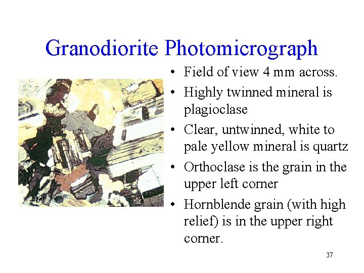 Granodiorite Photomicrograph • Field of view 4 mm across. • Highly twinned mineral is