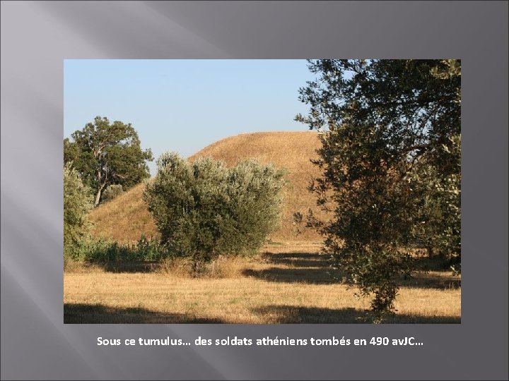 Sous ce tumulus… des soldats athéniens tombés en 490 av. JC… 