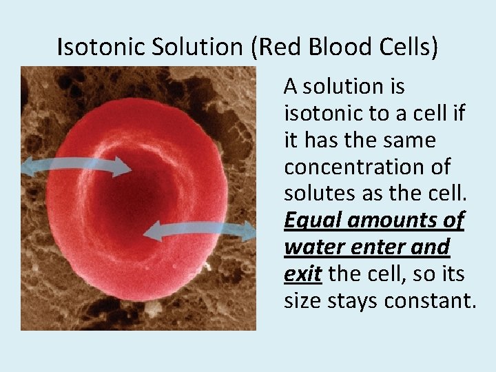 Isotonic Solution (Red Blood Cells) A solution is isotonic to a cell if it