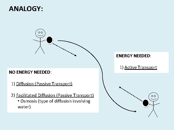 ANALOGY: ENERGY NEEDED: NO ENERGY NEEDED: 1) Diffusion (Passive Transport) 2) Facilitated Diffusion (Passive