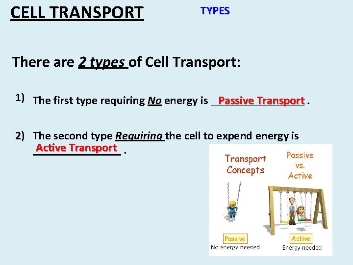 CELL TRANSPORT TYPES There are 2 types of Cell Transport: 1) The first type