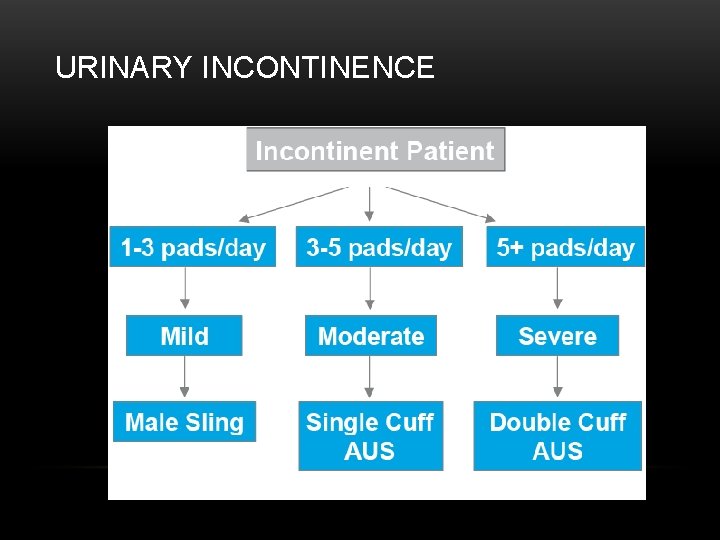 URINARY INCONTINENCE 