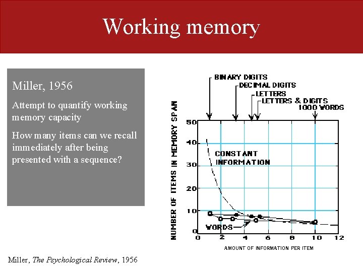 Working memory Miller, 1956 Attempt to quantify working memory capacity How many items can