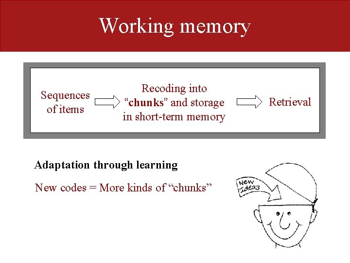 Working memory Sequences of items Recoding into “chunks” and storage in short-term memory Adaptation