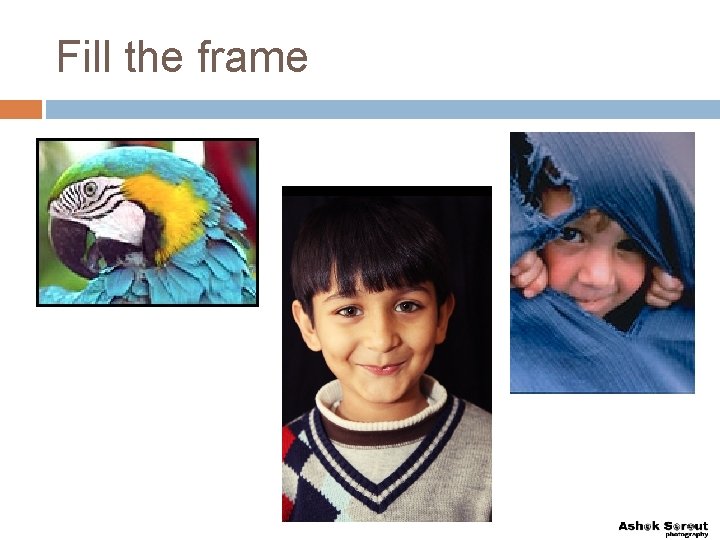Fill the frame 