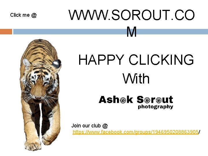 Click me @ WWW. SOROUT. CO M HAPPY CLICKING With Join our club @