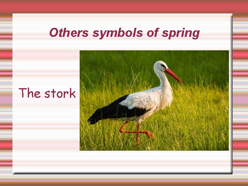 Others symbols of spring The stork 