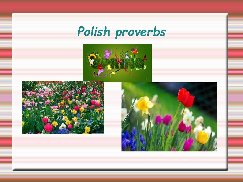 Polish proverbs 