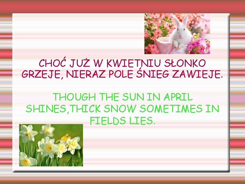CHOĆ JUŻ W KWIETNIU SŁONKO GRZEJE, NIERAZ POLE ŚNIEG ZAWIEJE. THOUGH THE SUN IN