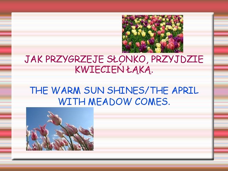 JAK PRZYGRZEJE SŁONKO, PRZYJDZIE KWIECIEŃ ŁĄKĄ. THE WARM SUN SHINES/THE APRIL WITH MEADOW COMES.