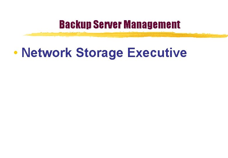 Backup Server Management • Network Storage Executive 