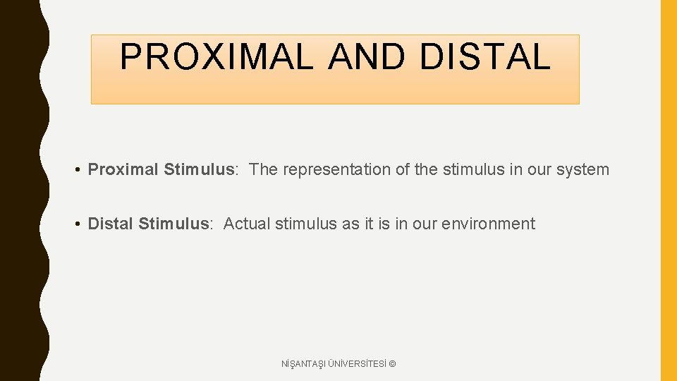 PROXIMAL AND DISTAL • Proximal Stimulus: The representation of the stimulus in our system