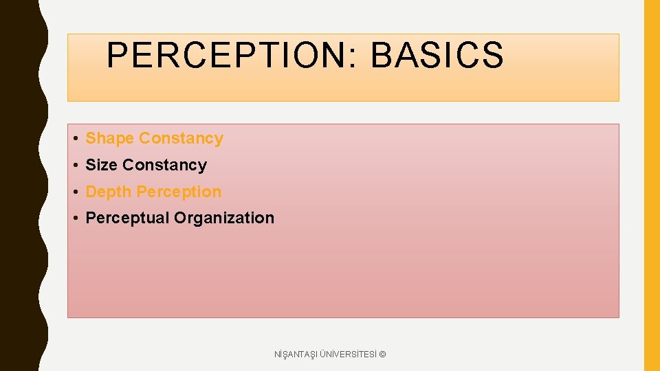 PERCEPTION: BASICS • Shape Constancy • Size Constancy • Depth Perception • Perceptual Organization