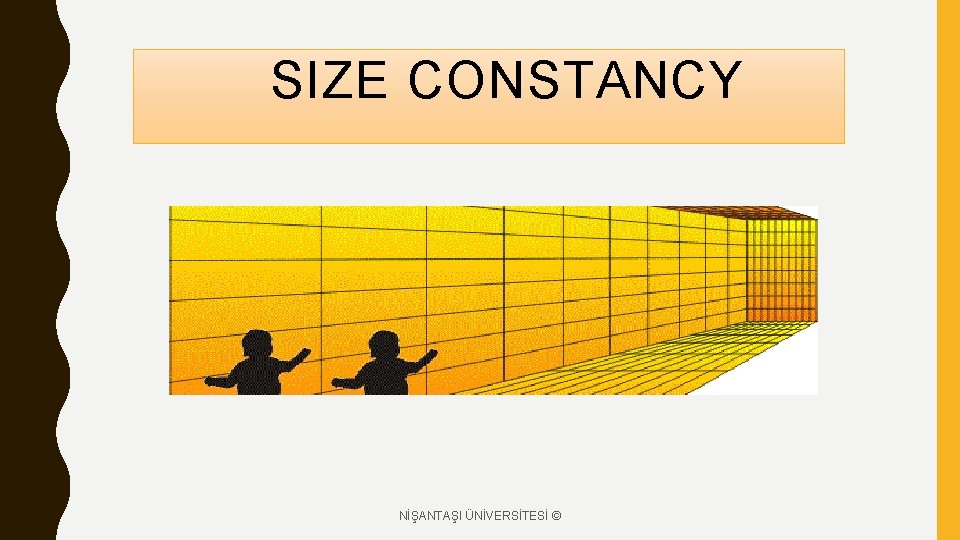 SIZE CONSTANCY NİŞANTAŞI ÜNİVERSİTESİ © 