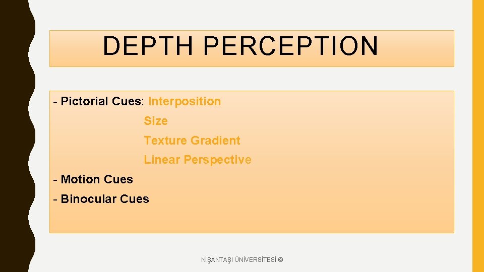 DEPTH PERCEPTION - Pictorial Cues: Interposition Size Texture Gradient Linear Perspective - Motion Cues