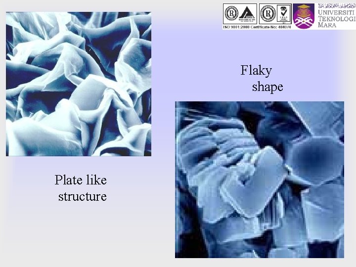 Flaky shape Plate like structure 