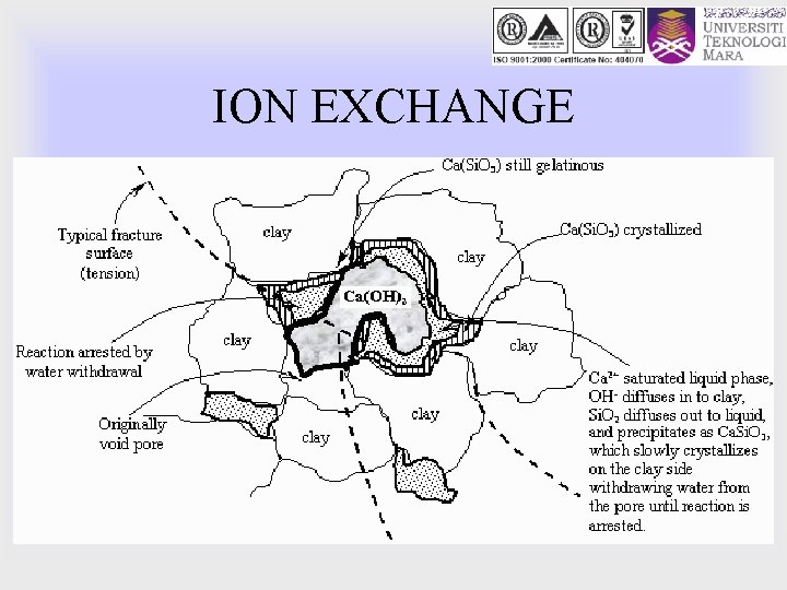 ION EXCHANGE 